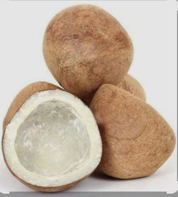 नारियल 100g